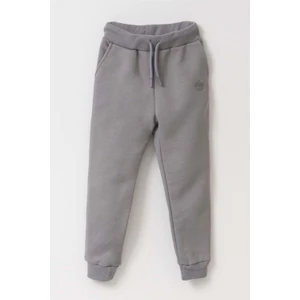 Erkek Çocuk Eşofman Altı Jogger 2 - Wet