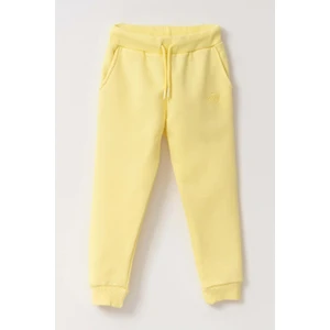 Erkek Çocuk Eşofman Altı Jogger 2 - Lime Light