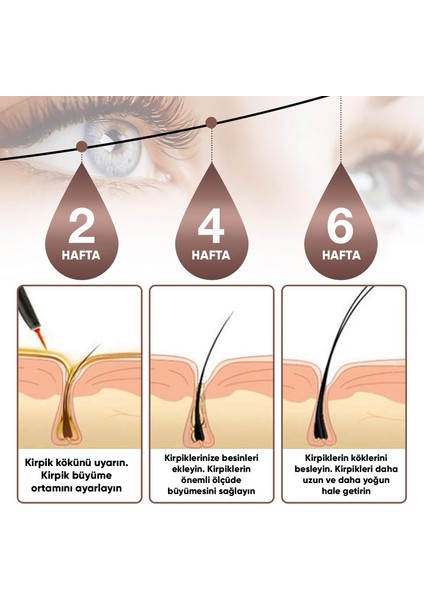 Kaş ve Kirpik Uzatıcı, Onarıcı, Besleyici ve Serum 5 ml