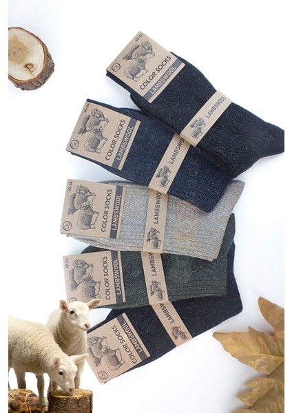 5 Çift Kışlık Yün Çorap Lambswool (Özel Kuzu Yünlü)