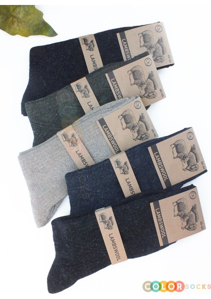 5 Çift Kışlık Yün Çorap Lambswool (Özel Kuzu Yünlü) modelleri