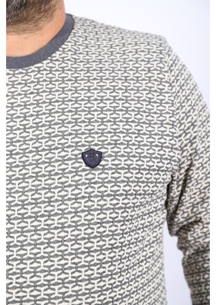 Büyük Beden Erkek Bisiklet Yaka Sweatshirt 22715-ANTRASIT fiyatları