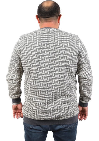 Büyük Beden Erkek Bisiklet Yaka Sweatshirt 22715-ANTRASIT modelleri