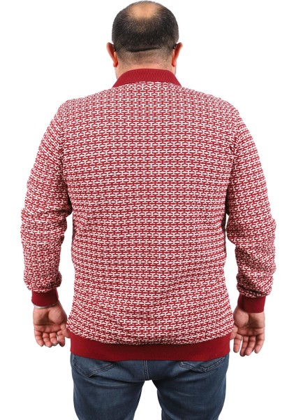 Büyük Beden Erkek Sweatshirt Polo Yaka 22714-BORDO modelleri