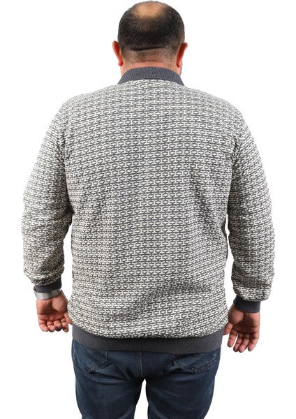 Büyük Beden Erkek Sweatshirt Polo Yaka 22714-ANTRASIT modelleri