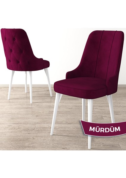 Concept Maya Serisi Beyaz Gürgen Ayak 1 Adet