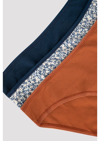 Penti Açık Renkli Autumn Leaf 3lü Slip fiyatları