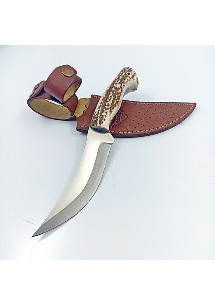 Geyik Boynuzu Kabzeli Paslanmaz Çelikten Av Bıçağı , Kamp ve Doğa Bıçağı , Bıçak Koleksiyoncuları