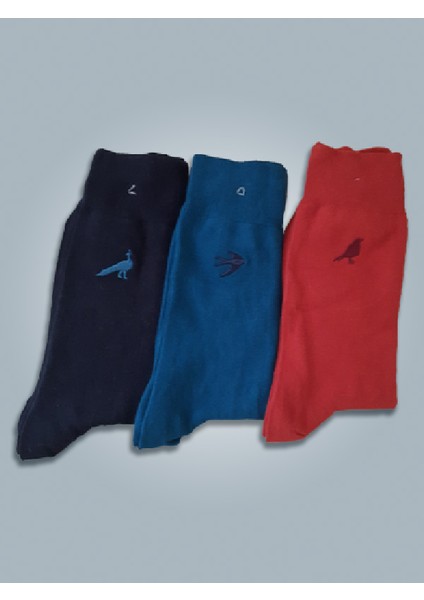 Kuş Desenli Erkek Uzun Çorap 3'lü Set