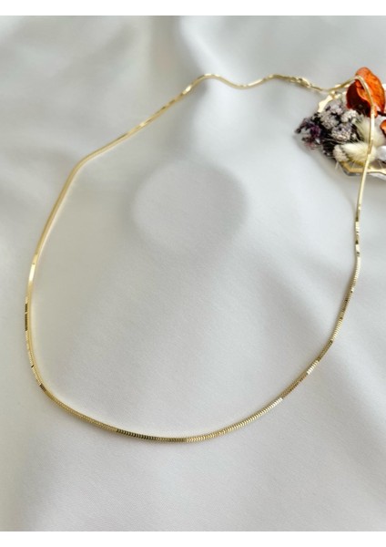 Küp Zincir modelleri