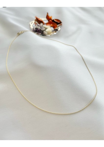 Forse Zincir modelleri