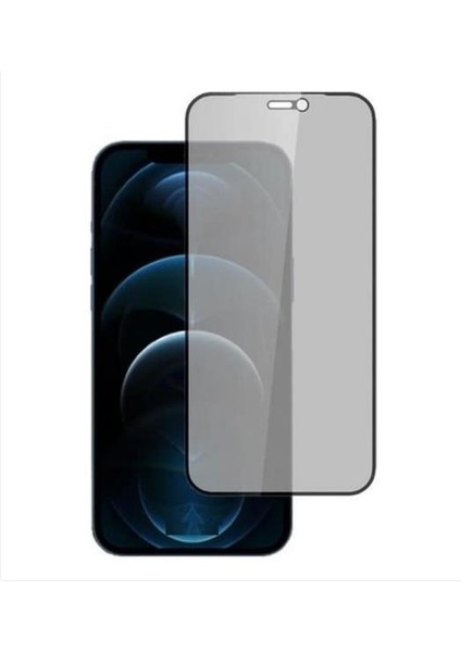 Apple iPhone 12-12 Pro Mat Privacy Nano