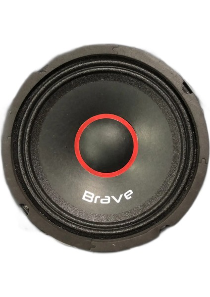 Br-6 16CM Midrange 500W Hoparlör