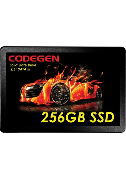 256GB 2.5" Sata3 SSD 500/450 (CDG-256GB-SSD25) SSD Disk