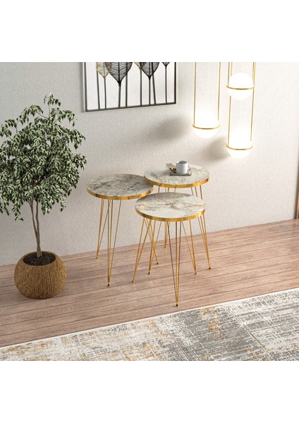 Efes Gold Metal Ayaklı Gold Detaylı 3 Lü Zigon Sehpa Yuvarlak fiyatları