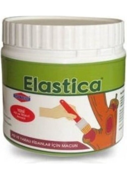 Elastica Aşı Macunu (Hazır Sürülür) 250 gr