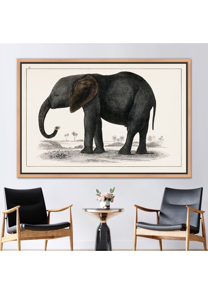 1 Parça Naturel Çerçeveli Kanvas Tablo Fil Çizimi Soyut Fil Sanat Hayvan Duvar Süsü