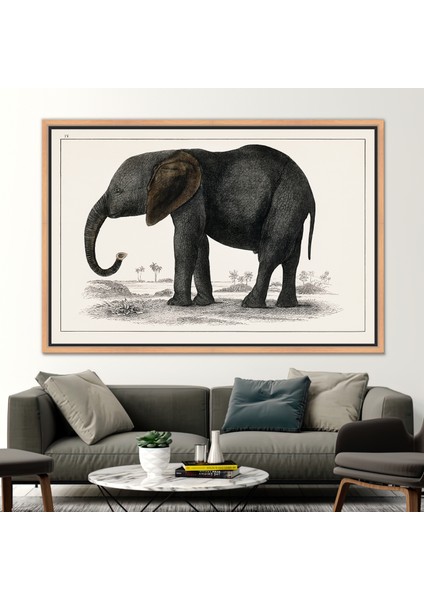 1 Parça Naturel Çerçeveli Kanvas Tablo Fil Çizimi Soyut Fil Sanat Hayvan Duvar Süsü fiyatları