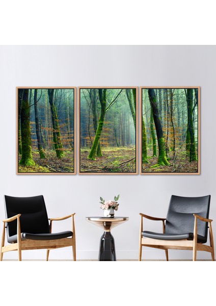 3 Parçalı Naturel Çerçeveli Kanvas Tablo Ağaç Manzarası Sanat Eseri Orman Hediye Kanvas fiyatları