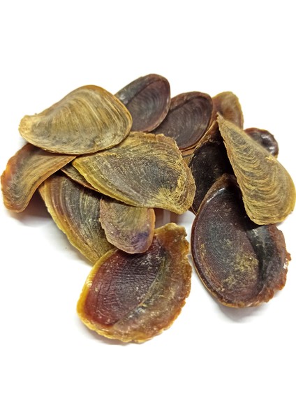 Şeytan Tırnağı 25 Adet fiyatları