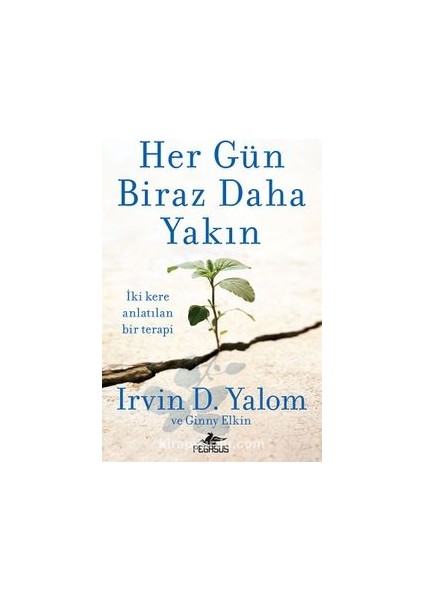 Her Gün Biraz Daha Yakın - Sana Gül Bahçesi Vadetmedim  - Irvin D. Yalom