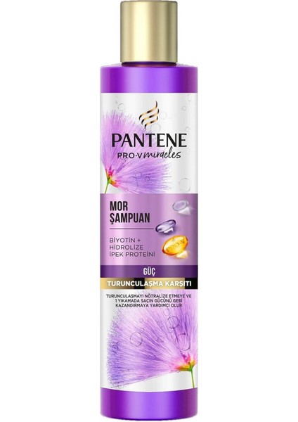 Mor Şampuan Pro-V 225 Ml