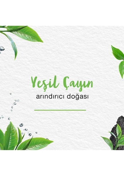 Detoks Etkili Arındırıcı Yüz Yıkama Jeli, Aktif Kömür, Yeşil Çay, Parabensiz, Tüm Ciltler, 150 ml indirimleri