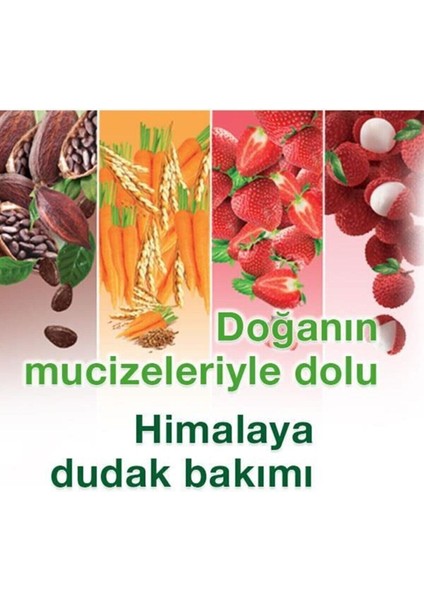 Parlatıcı Dudak Kremi, Çilek, Nemlendirici, %100 Doğal Renk, Silikon İçermez, 4,5 gr