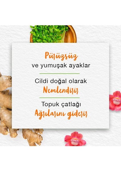 Ayak Kremi, Sal Ağacı, Çemen Otu, Zerdeçal, Bal, Nemlendirici, Besleyici, Tüm Ciltler, 75 ml