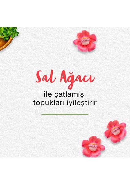 Ayak Kremi, Sal Ağacı, Çemen Otu, Zerdeçal, Bal, Nemlendirici, Besleyici, Tüm Ciltler, 75 ml