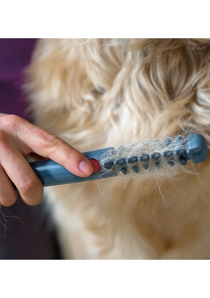 Elektrikli Pet Köpek Bakım Tarak Saç Düzeltici (Yurt Dışından)