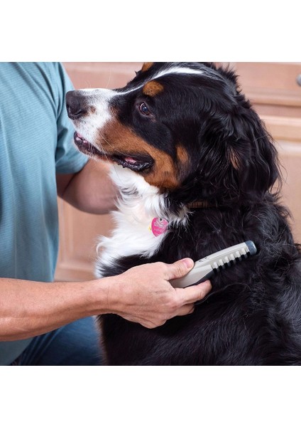 Elektrikli Pet Köpek Bakım Tarak Saç Düzeltici (Yurt Dışından)