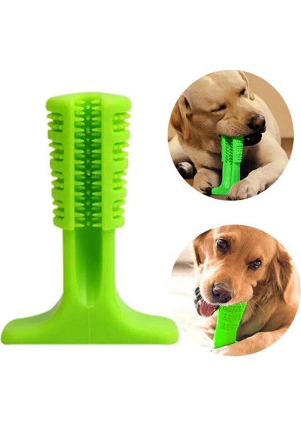 Hobi Bahçem Buffer® Köpek Diş Temizleyici ve Kaşıyıcı Sağlıklı Küçük Boy Oyuncak