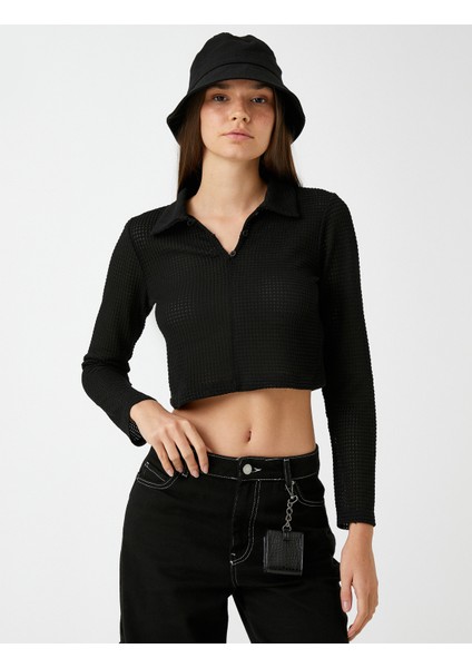 Crop Tişört Polo Yaka Uzun Kollu modelleri