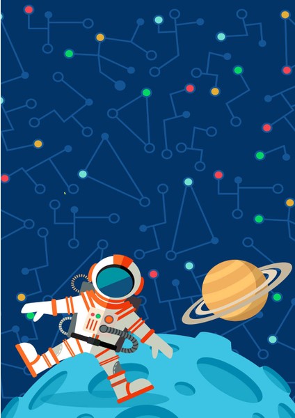 Dikey Karne Kabı 24 Ad