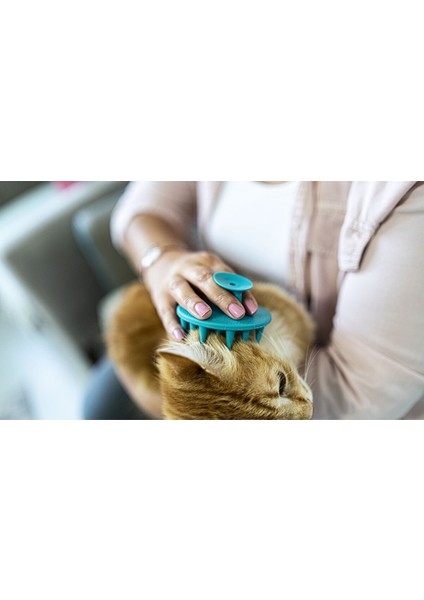 Fuşya Yumuşak Silikon Uçlu Kedi Fırçası Yıkama Tarağı - Köpek Kaşıma Tarağı Yıkama Fırçası Vantuzlu fiyatları