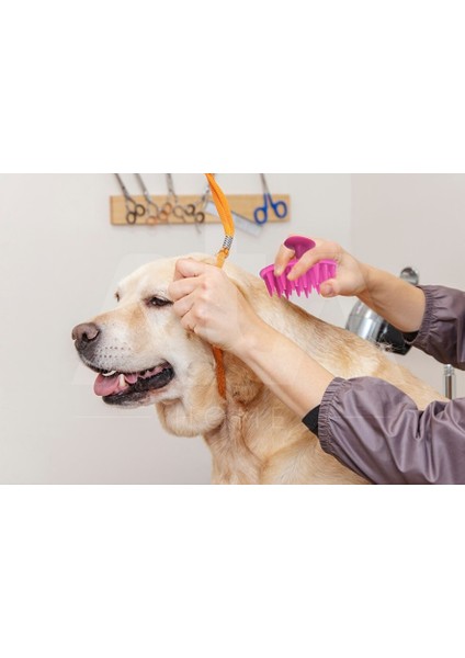 Fuşya Yumuşak Silikon Uçlu Kedi Fırçası Yıkama Tarağı - Köpek Kaşıma Tarağı Yıkama Fırçası Vantuzlu modelleri