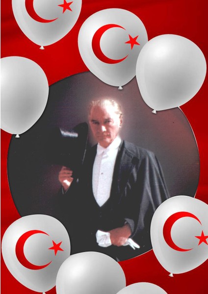 Dikey Karne Kabı 24 Ad