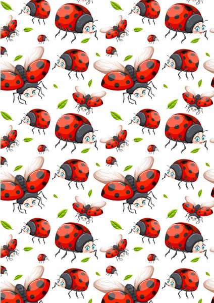 Dikey Karne Kabı 24 Ad