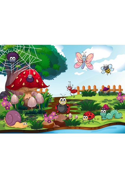 Yatay Karne Kabı 24 Ad