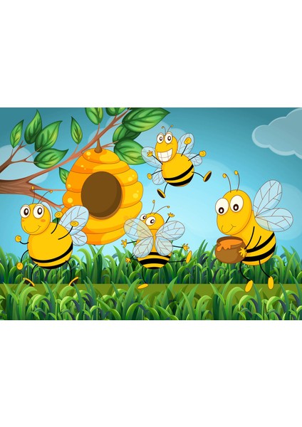 Yatay Karne Kabı 24 Ad