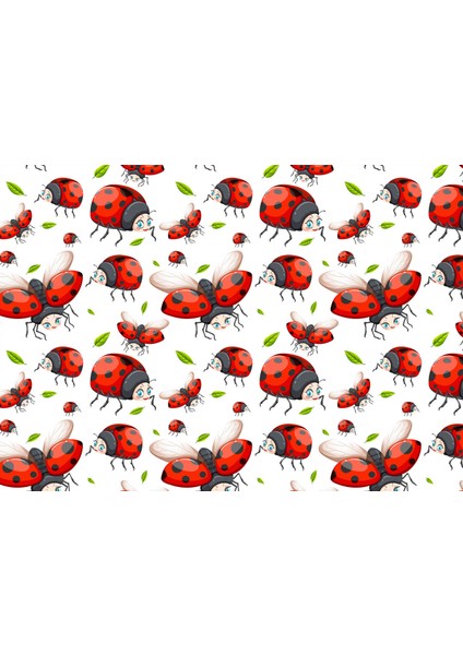 Yatay Karne Kabı 24 Ad