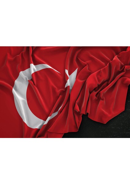 Yatay Karne Kabı 24 Ad