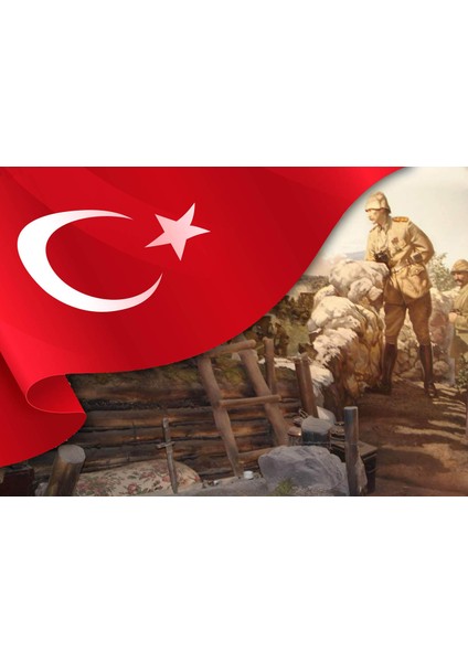 Yatay Karne Kabı 24 Ad