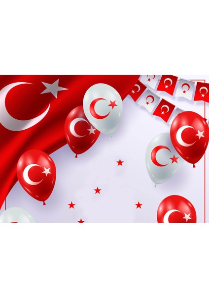 Yatay Karne Kabı 24 Ad