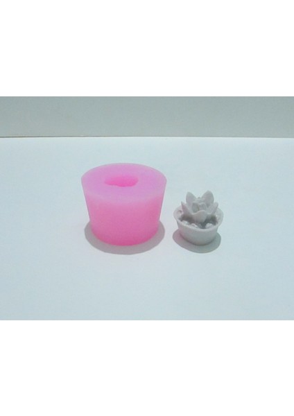 Saksıda Kaktüs Silikon Kalıbı (Mini Boy) -2