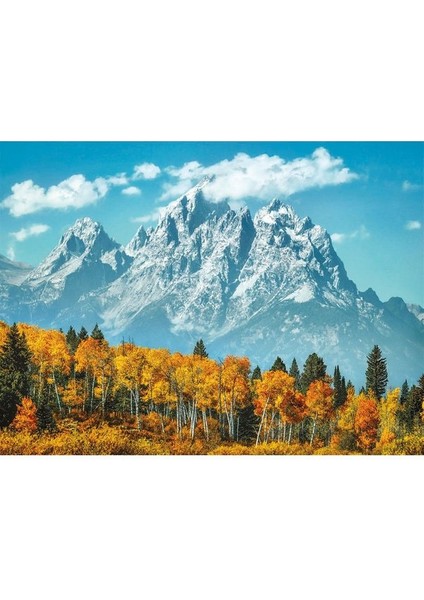 - 500 Parça High Quality Collection Yetişkin Puzzle - Grand Teton In Fall 35034