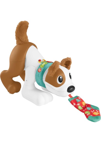 Fisher Price Emeklemeyi ve Saymayı Öğreten Köpekçik HHH13