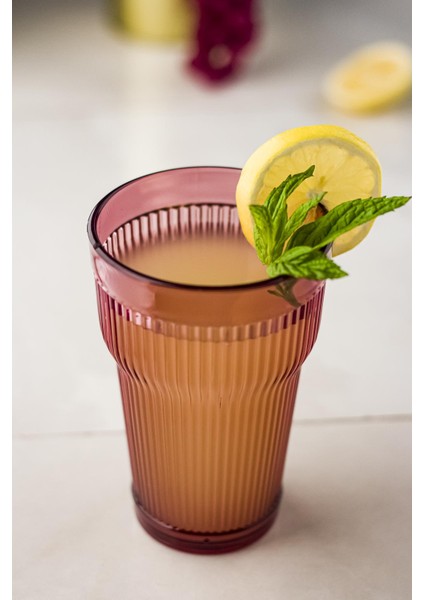 Akrilik Mürdüm Tekli Uzun Bardak & Su Meşrubat Bardağı 400 ml ( Cam Değildir )