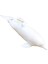 28CM Soft Yumuşak Deniz Canlıları Beyaz Yunus Figür Oyuncak 4